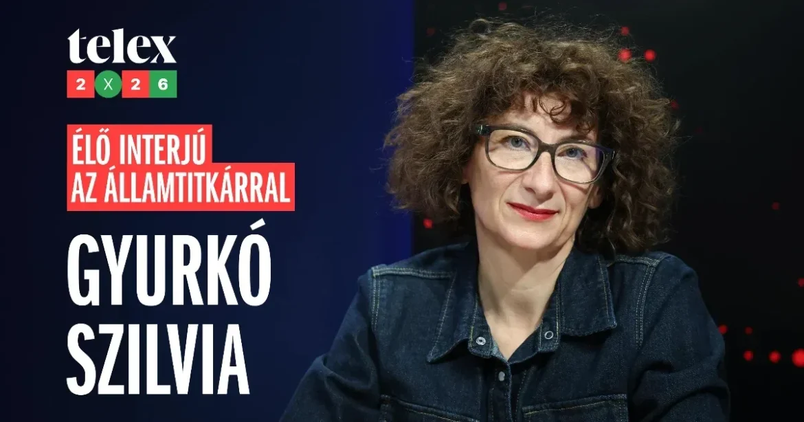 A magyar gyermekvédelem a teljes összeomlás határán áll