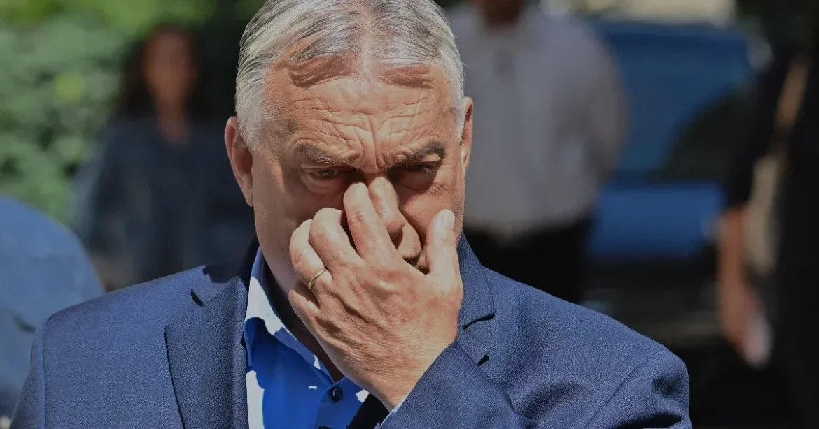A Medián felmérése: sokan maffiaállamnak tartják az Orbán-rendszert