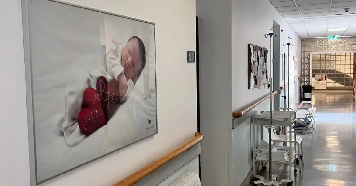 Dúla vagy apa? Civilek Hegedűs Zsoltig tüntetnek a Szent Imre szigorítása miatt