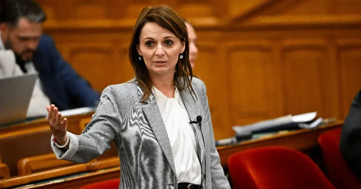 Lőrincz Viktória vádjaira reagált a veszprémi cég