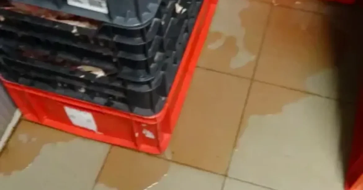 Nébih lezárta a gíroszhús-üzemet, penészes falak és pangó víz mellett