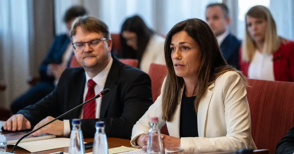 Végrehajtási visszaélések: Varga és Rogán meghallgatása