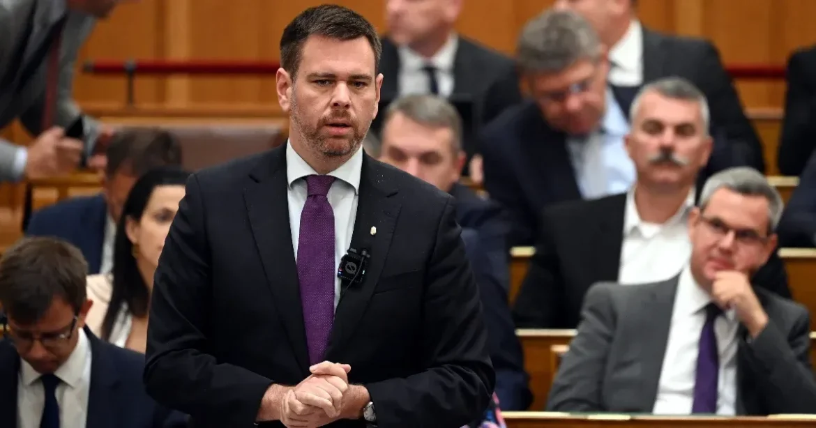 Vitézy új miniszteri biztost nevezett ki