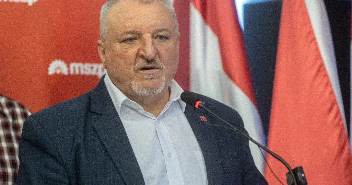 Komjáthi Imrét választotta elnökévé az MSZP tagsága